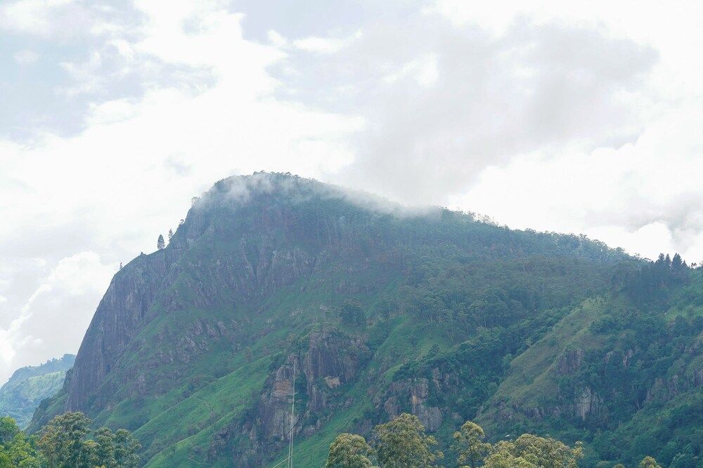 undefined Rawana Den 7