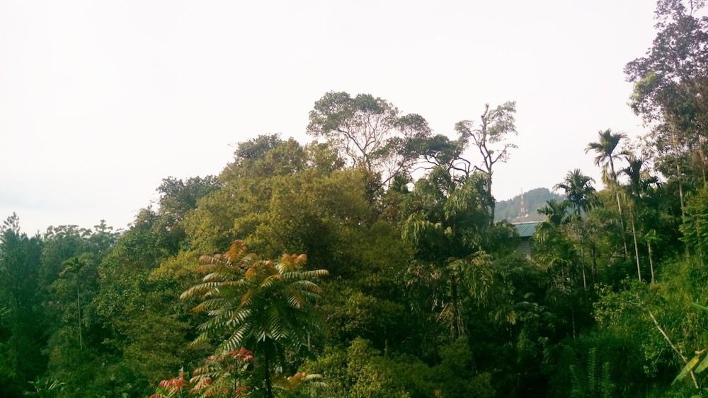 Misty Elegance Ella Deluxe Double Room 12