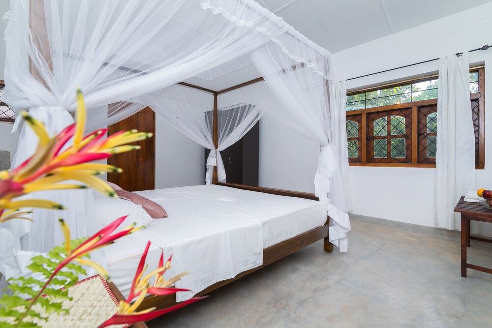 undefined HikkaNest 6