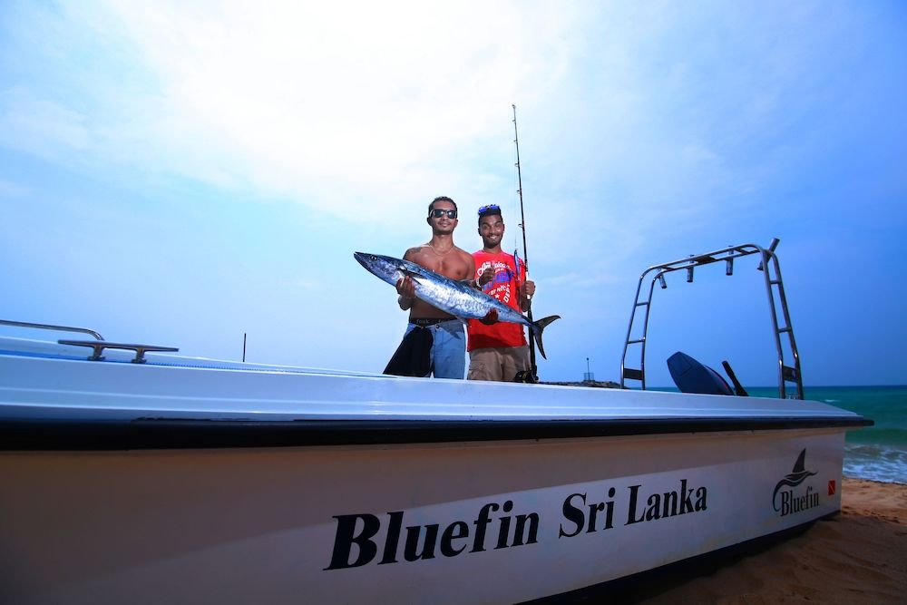 undefined Bluefin Adventure - Hostel 4