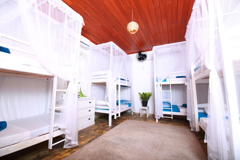 undefined Bluefin Adventure - Hostel 6