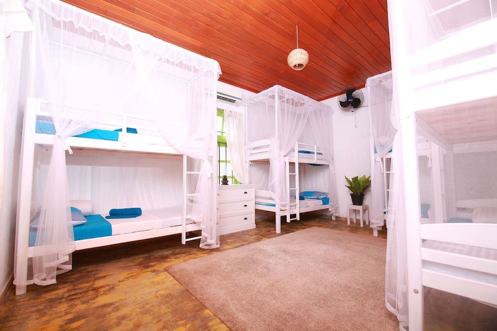 undefined Bluefin Adventure - Hostel 7