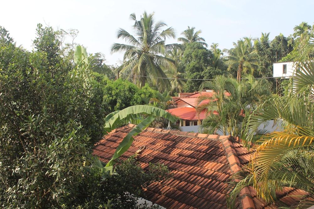 undefined Surf n Summer 2