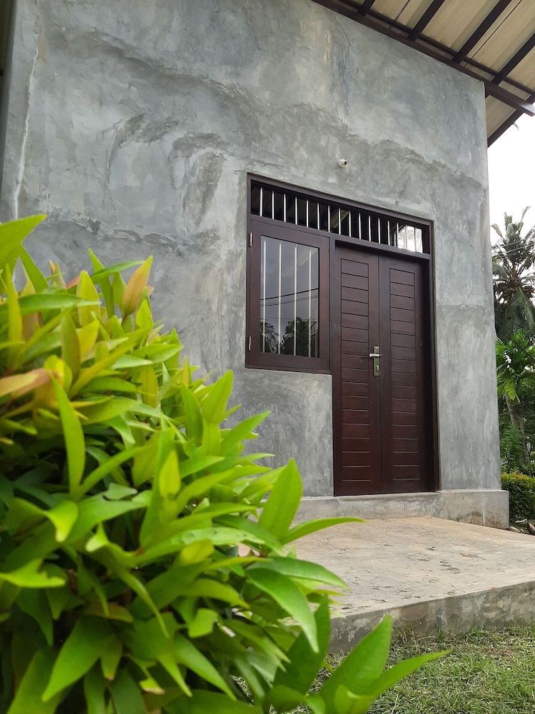 undefined Dollyz Home 6