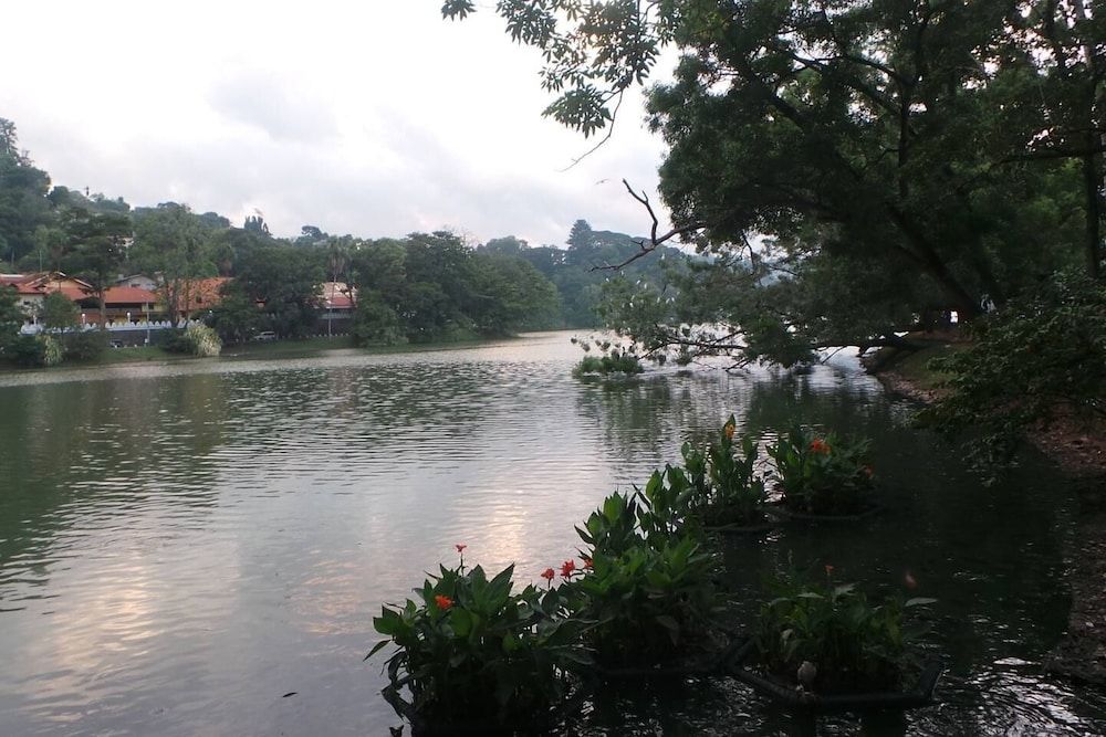 Luxury Villa Costanza Villa, 2 Bedrooms, Smoking, Private Pool 27