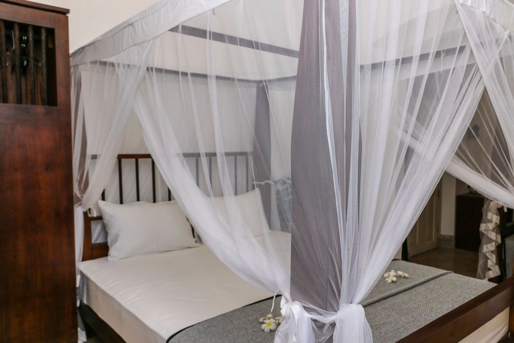 Villa Rosa Blanca - White Rose Family Room 9