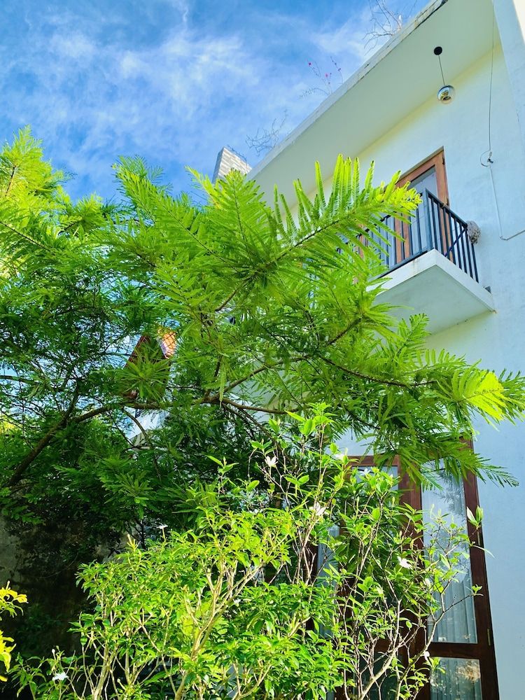 undefined Jungle City Hostel 2