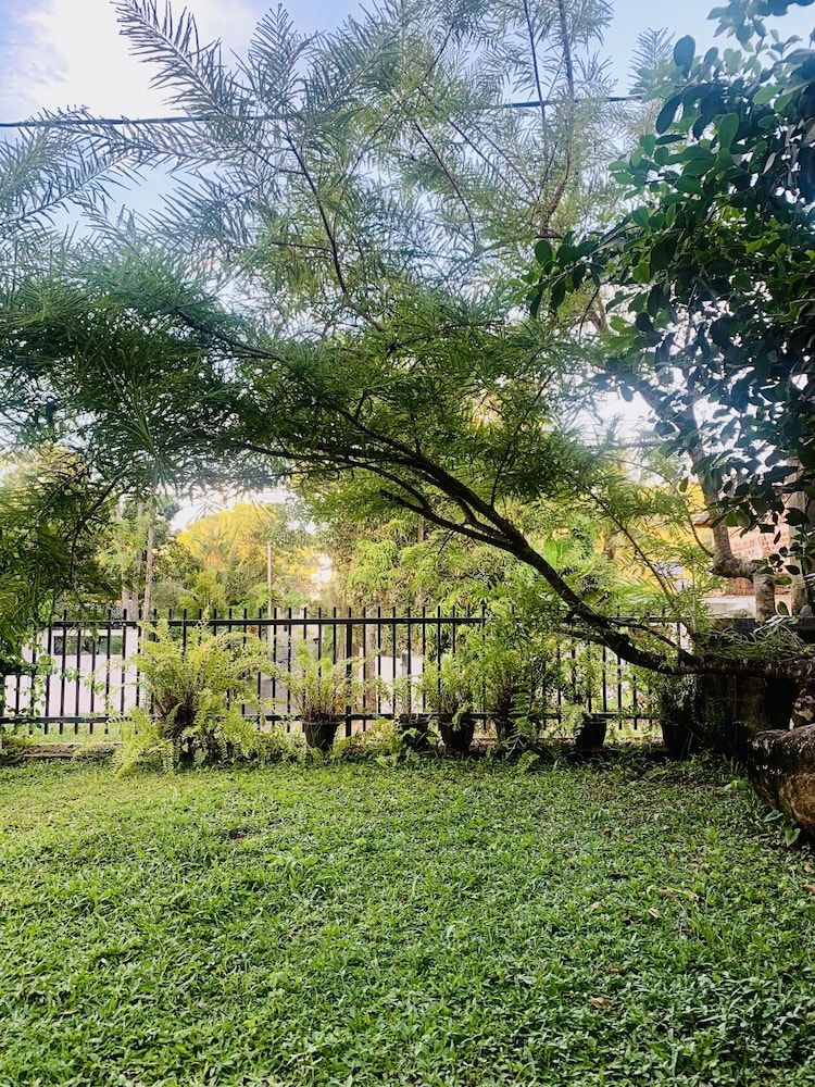 undefined Jungle City Hostel 5