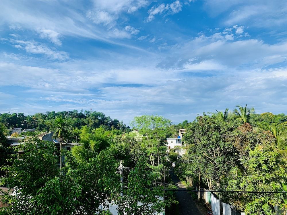 undefined Jungle City Hostel 10
