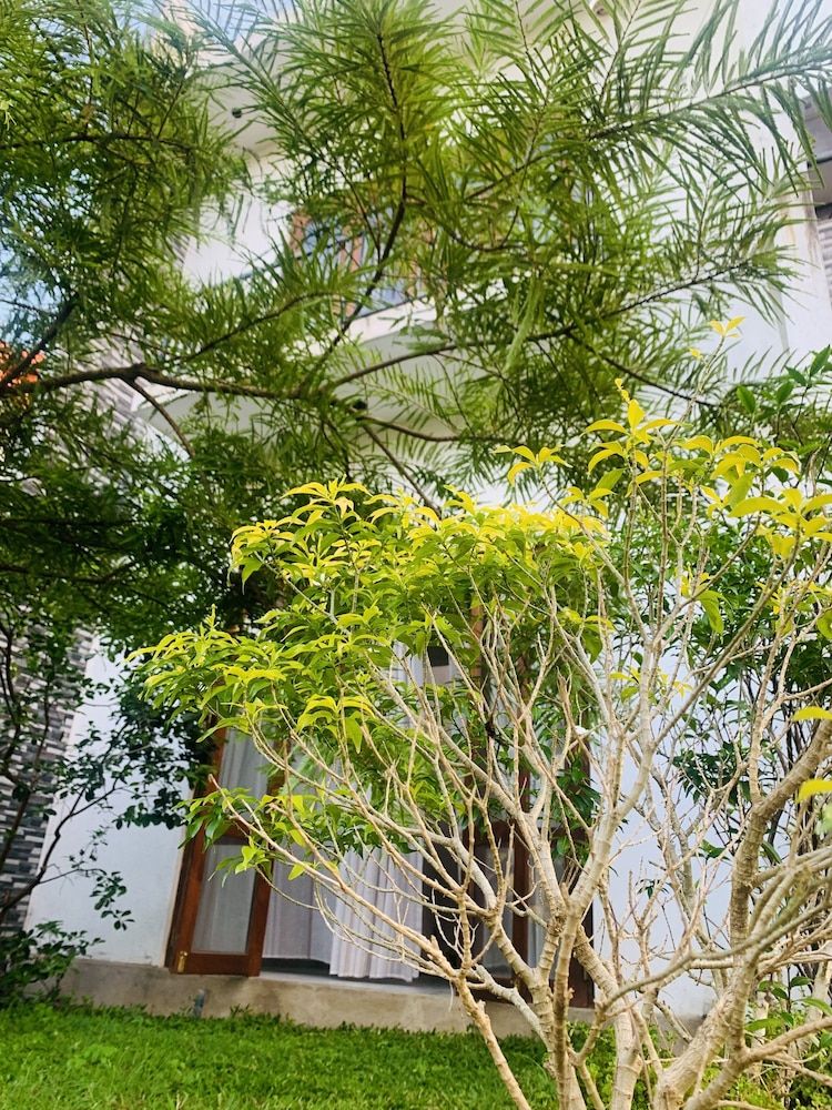 undefined Jungle City Hostel 3