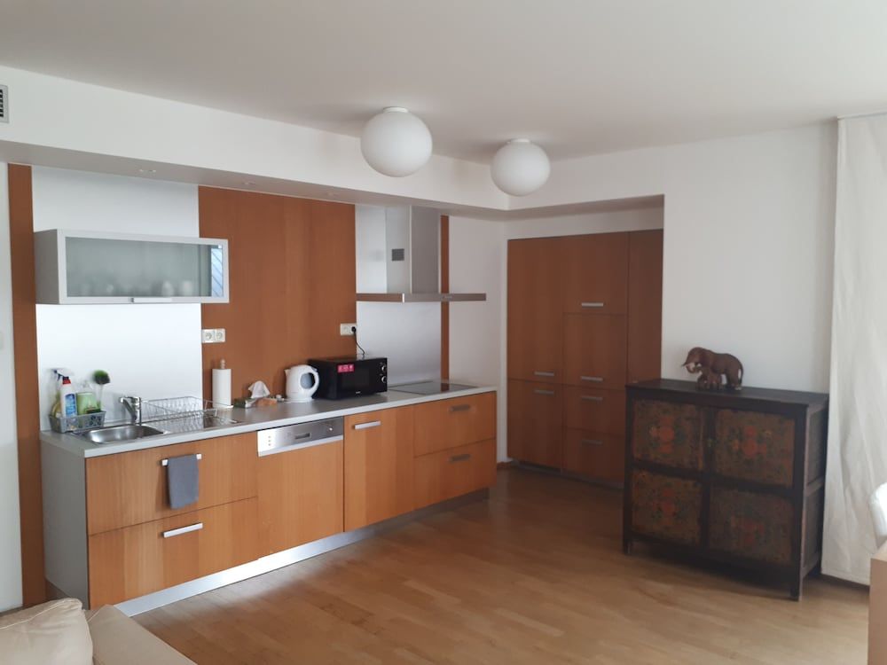 Vaclav Comfort Apartment, 1 King Bed, Balcony, City View 10