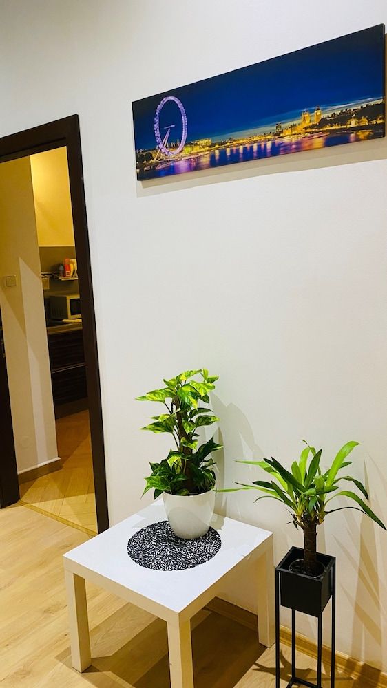 undefined Hotel Apartment in Square Praha 2 6