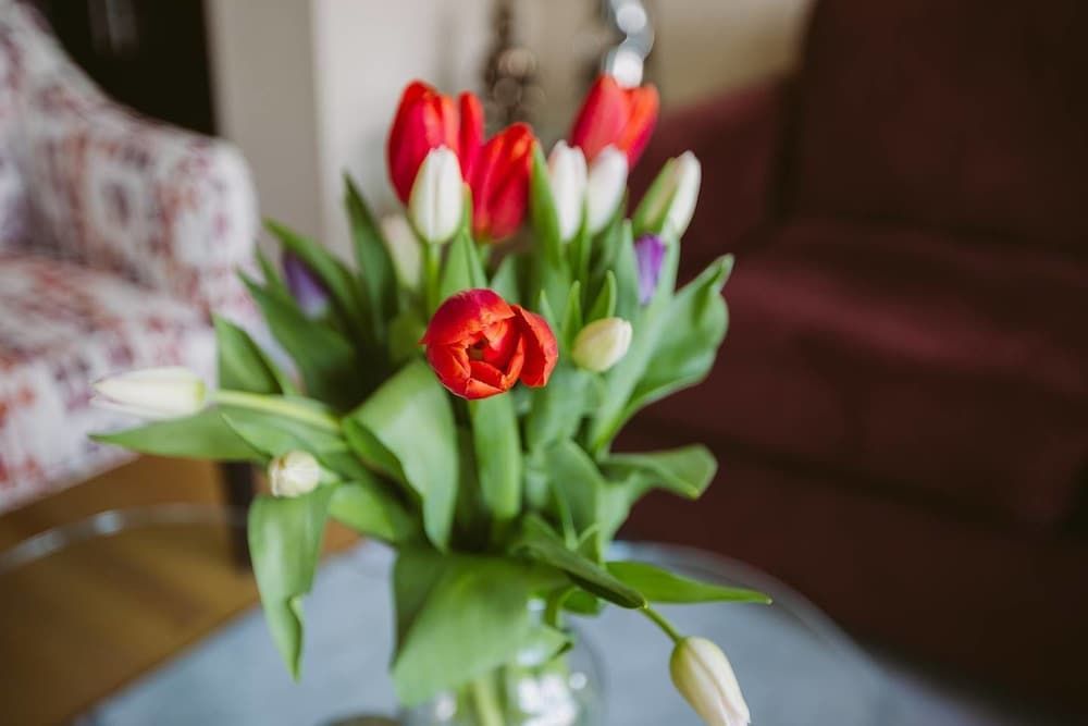 Executive Condo in the Heart of Downtown Apartment (2 Bedrooms) 6