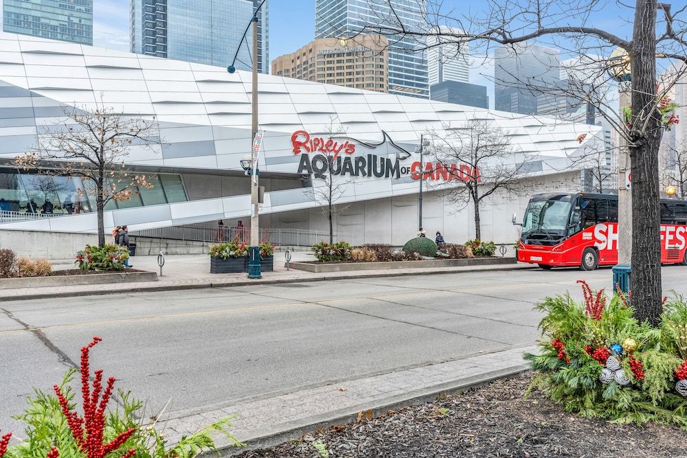 undefined Harbourfront 2 Bed Suites 4