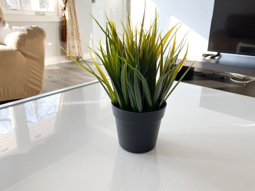 undefined Cozy Private Bedroom Walk To Kennedy Stn 3