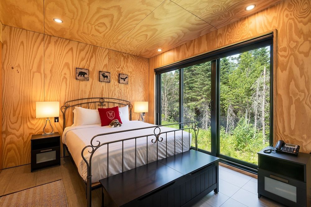 Queen, 2 Twin and Sofa Bed Room