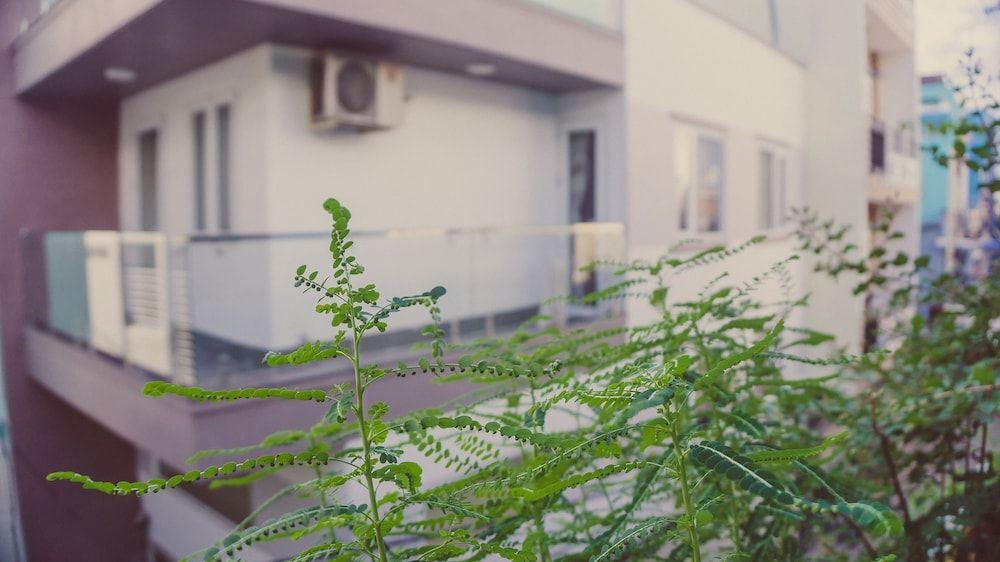 undefined Homestay Sunny's House 8