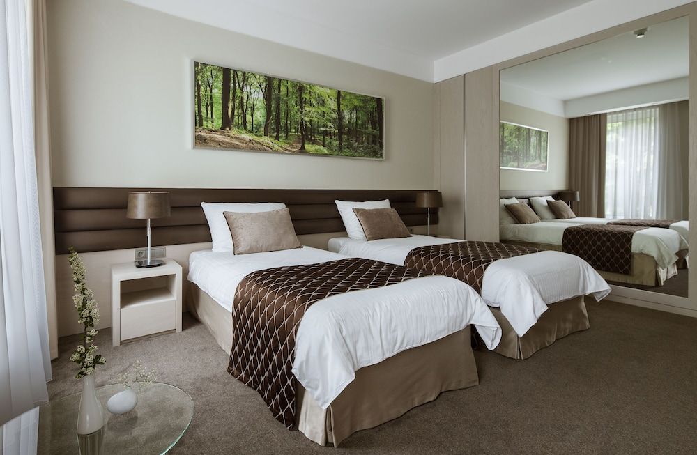 Hotel Narvil Conference & Spa Standard Twin Room