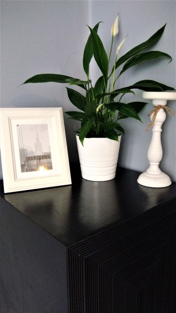 Stars Apartaments Centrum Design Apartment 21