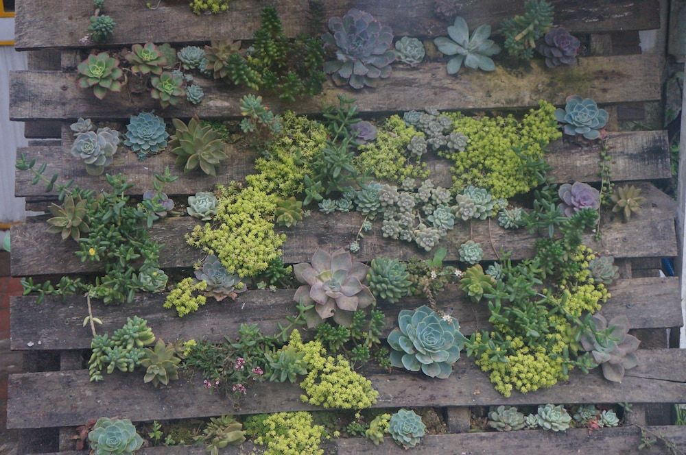 undefined Grey Monkey Dalat Hostel 4