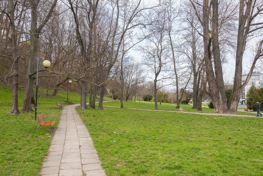 undefined Riverside Comfort Studio 8