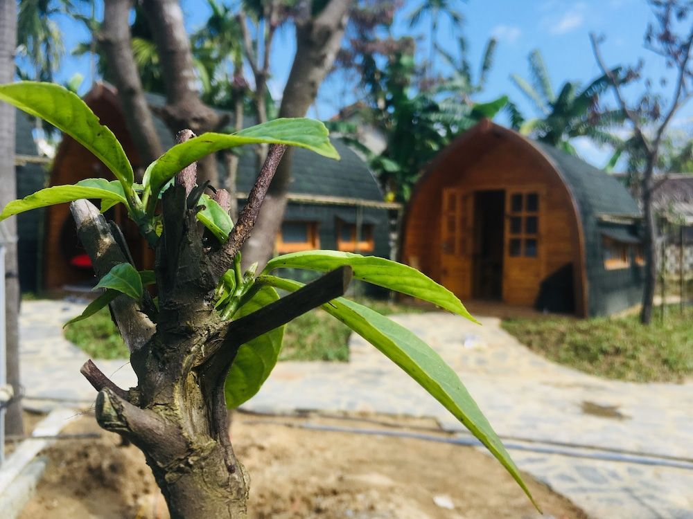 undefined CoCo Farm Hoi An 6