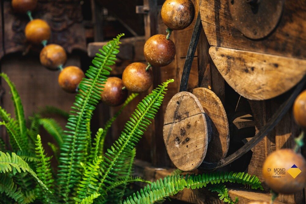 undefined Diamond Dorm Vietnam - Hostel 10