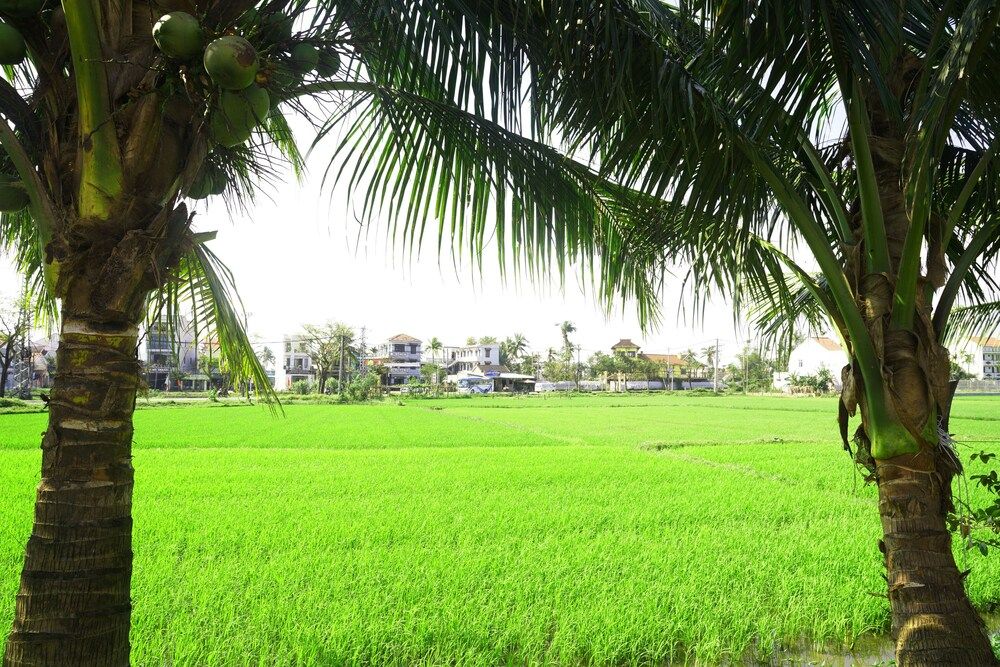 undefined Hoang Y Homestay 7