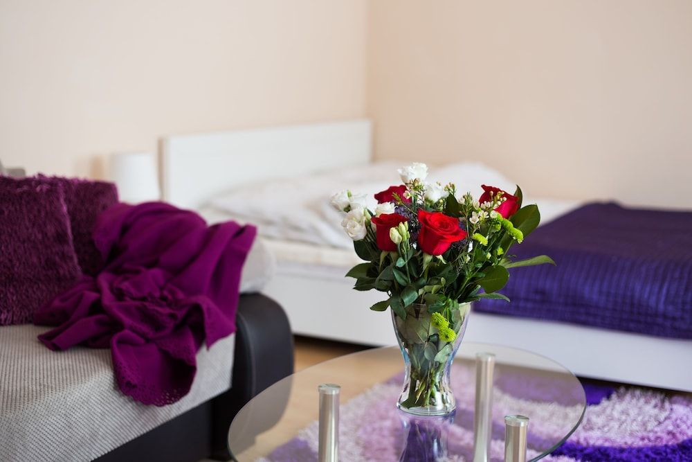 Comfort Apartment