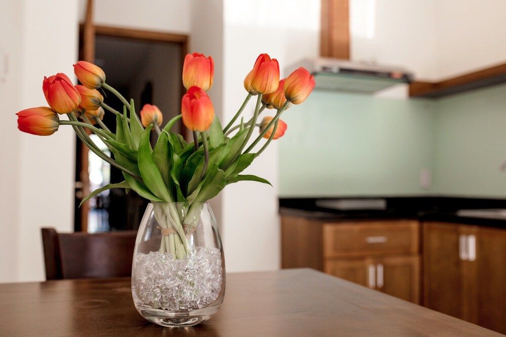 undefined PN Apartment 8