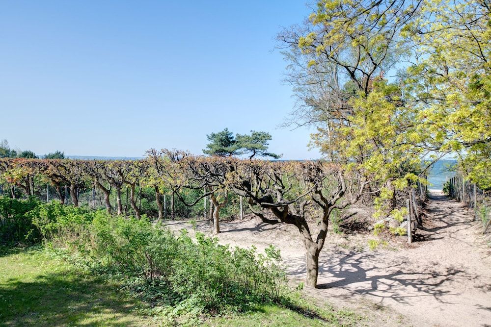 undefined Dom & House - Apartments Nadmorze Estate 3