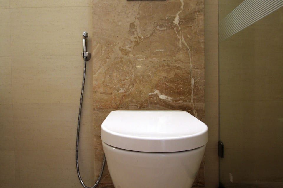 Regent Hotel Andheri, Airport
