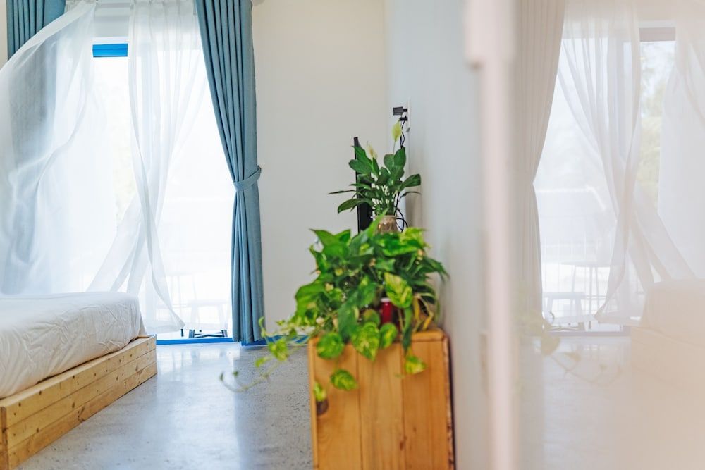 Santori Homestay Hoi An - Hostel Standard Quadruple Room 6