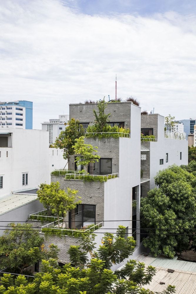 undefined Green Peace Da Nang 5