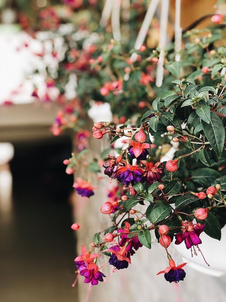 undefined Lien Son Hotel Da Lat 5