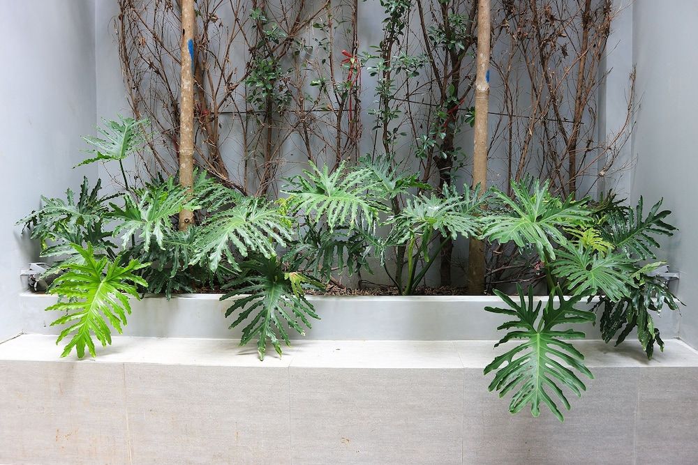 RedDoorz Plus @ Le Van Sy Street 2 Suite 11