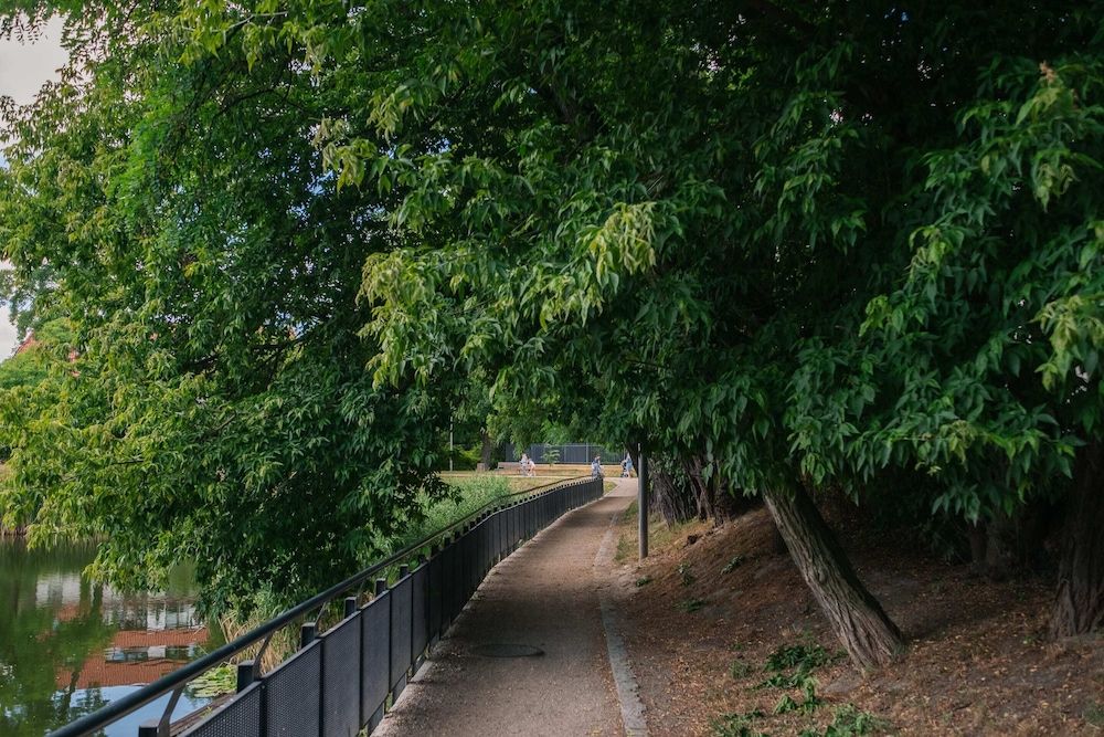 undefined Modern Apartment Across the Ponds 5