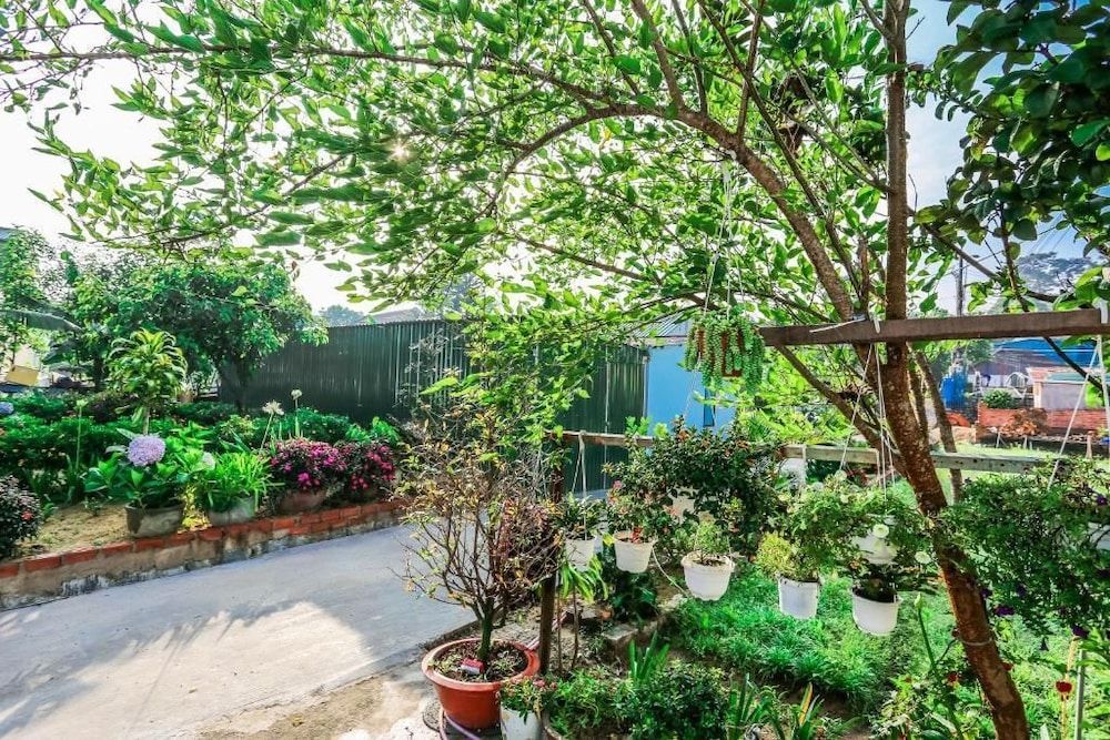 undefined Dalat Chocolate Homestay 4