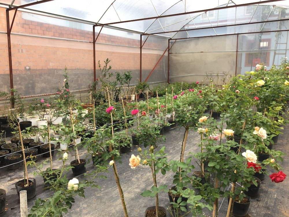 undefined Dalat Chocolate Homestay 2