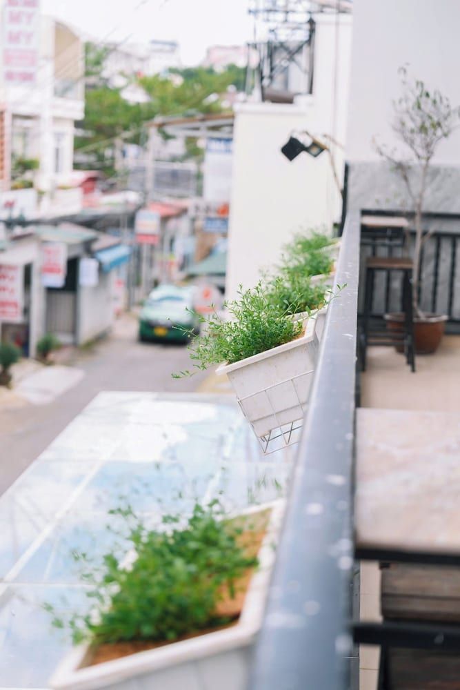 undefined Cherry House Dalat 10