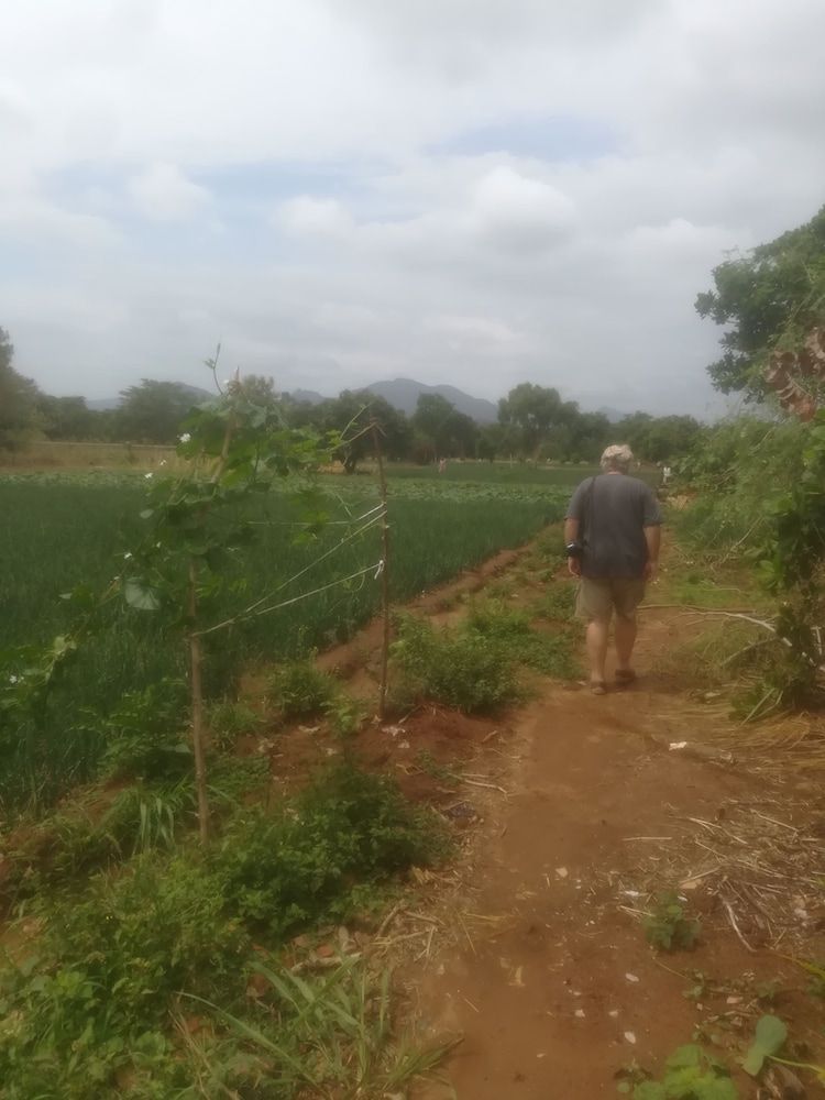 undefined Green house 6