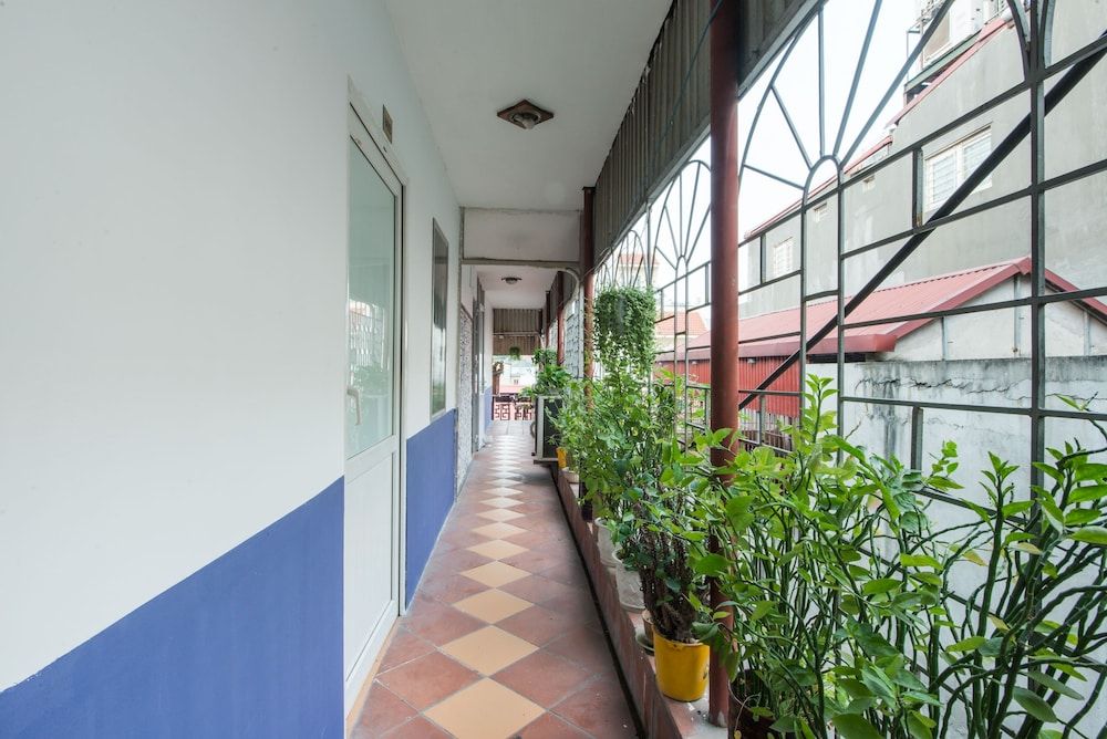 undefined Gecko Hotel 5