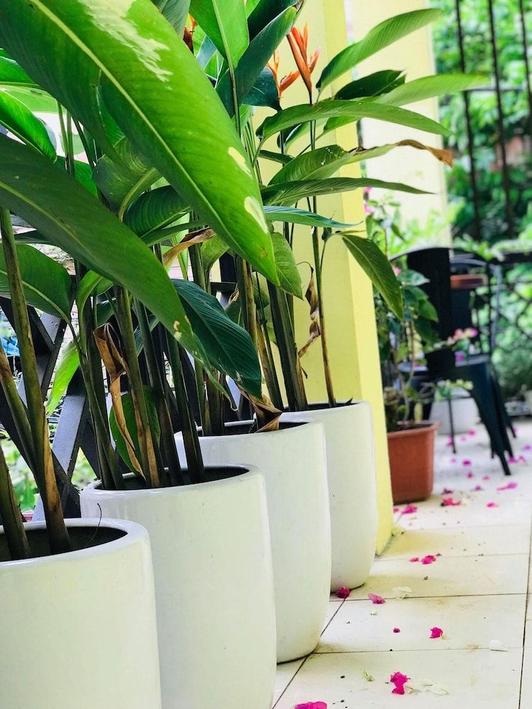 undefined Alley Garden Homestay 9