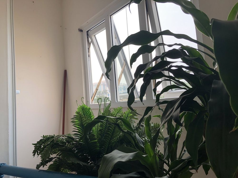 undefined Lan's Homestay 2