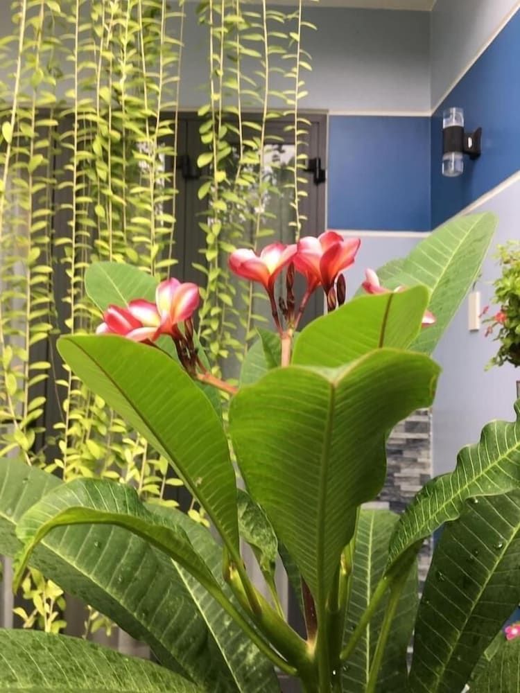 undefined Cherry Garden Homestay 6