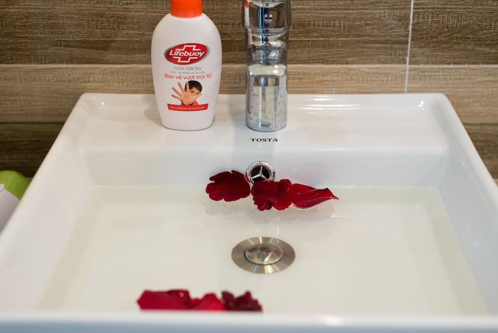 Thinh My Villa Hoi An Super Deluxe with Balcony 6