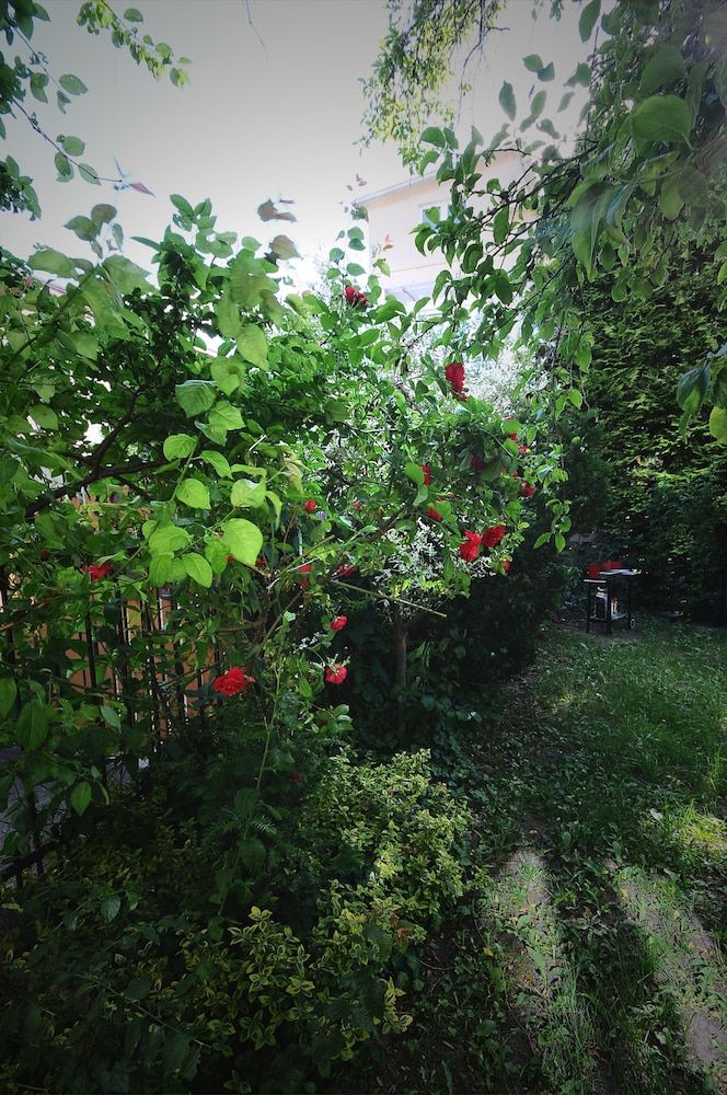 A Place Like Home Apartamenty Horeszkow Studio (Basement) 9