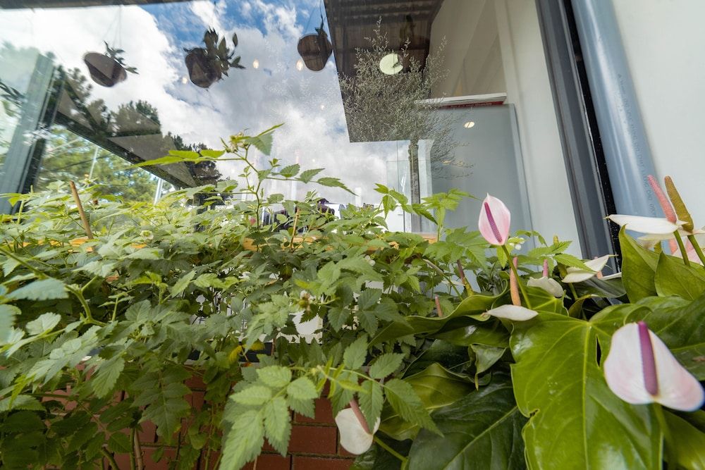 undefined Harmony Villa Dalat 8