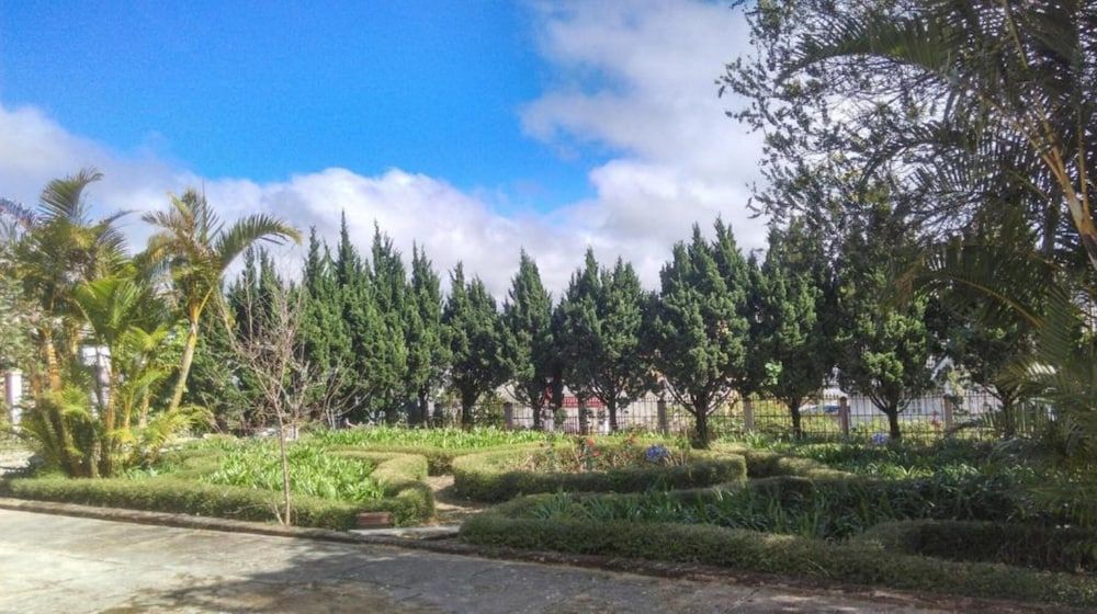 Pine Tree House Da Lat Standard Room, Shared Bathroom 5
