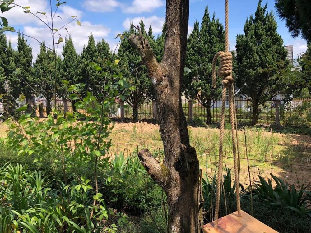 Pine Tree House Da Lat Family Room, Shared Bathroom 5